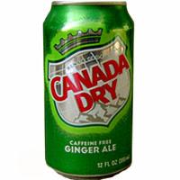 Canada Dry Ginger Ale – Classic Ginger Soda 355ml Can